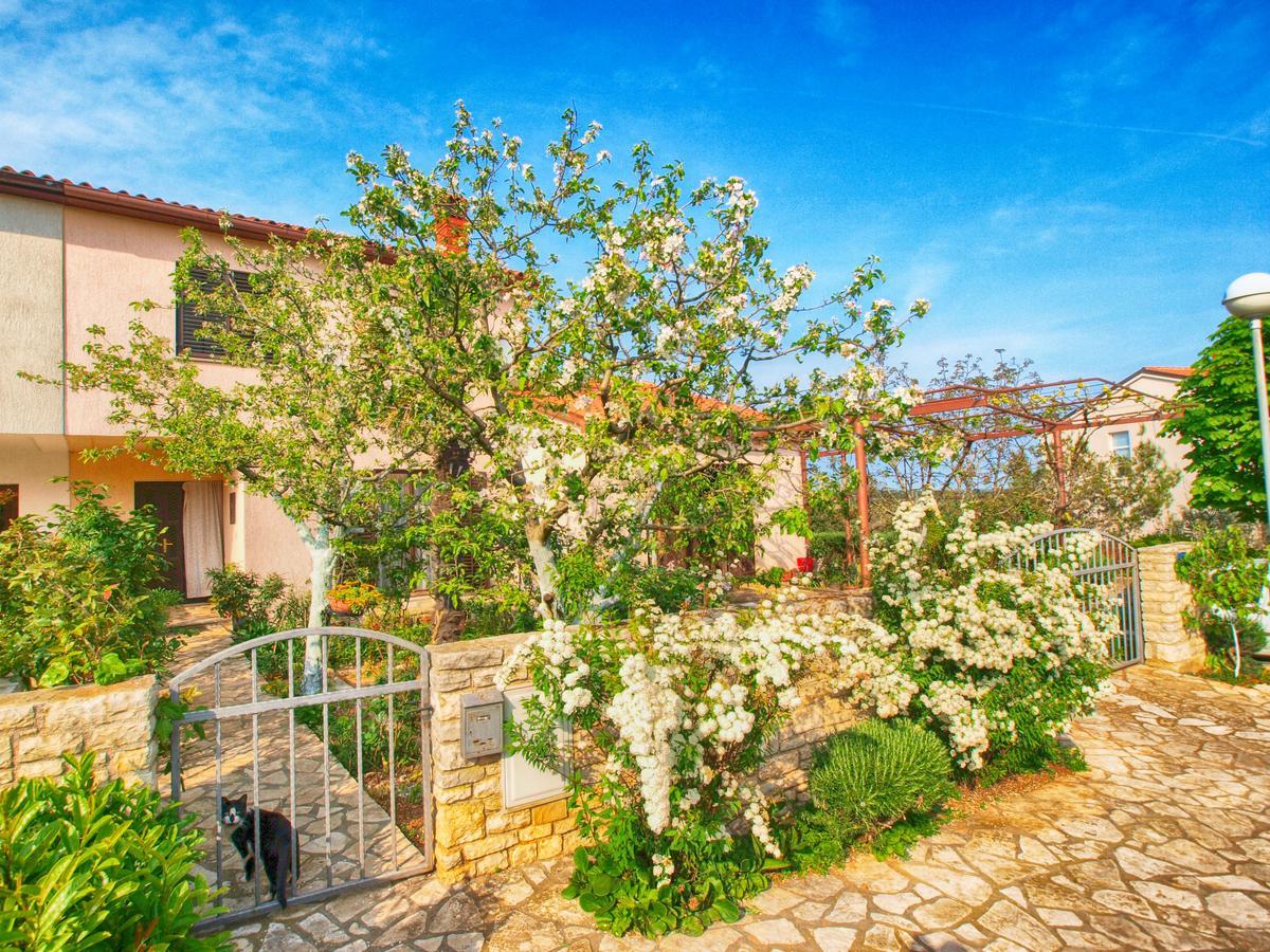 Apartments Dvorine 1210 Banjole Dış mekan fotoğraf